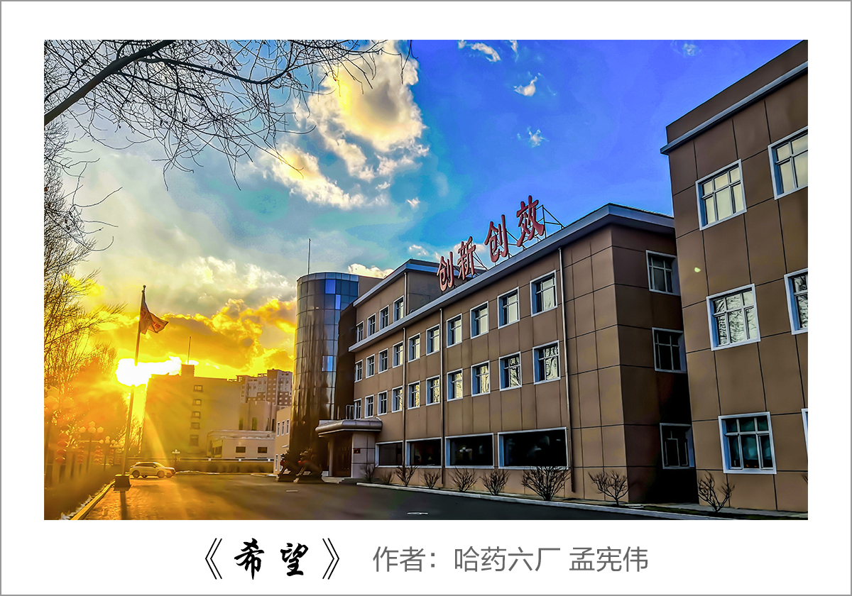 【迎國(guó)慶 展風(fēng)采】我眼中的哈藥&mdash;&mdash;職工攝影大賽作品展示！